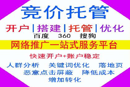 谷歌竞价广告在旅游行业的成功营销案例